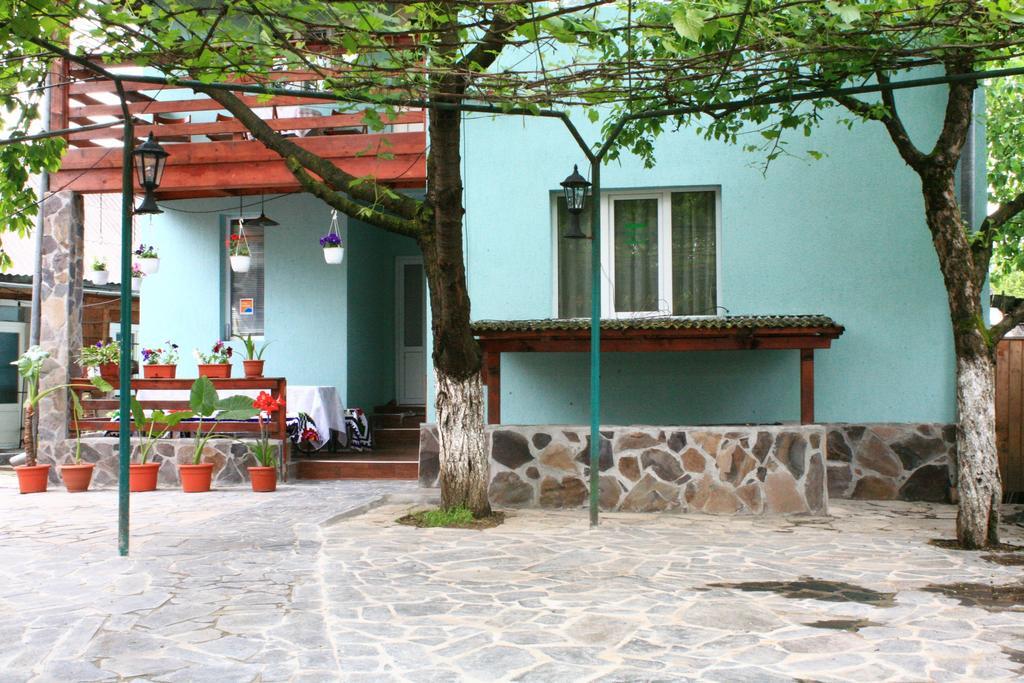 Busta House Bogdan Vodă Exterior foto