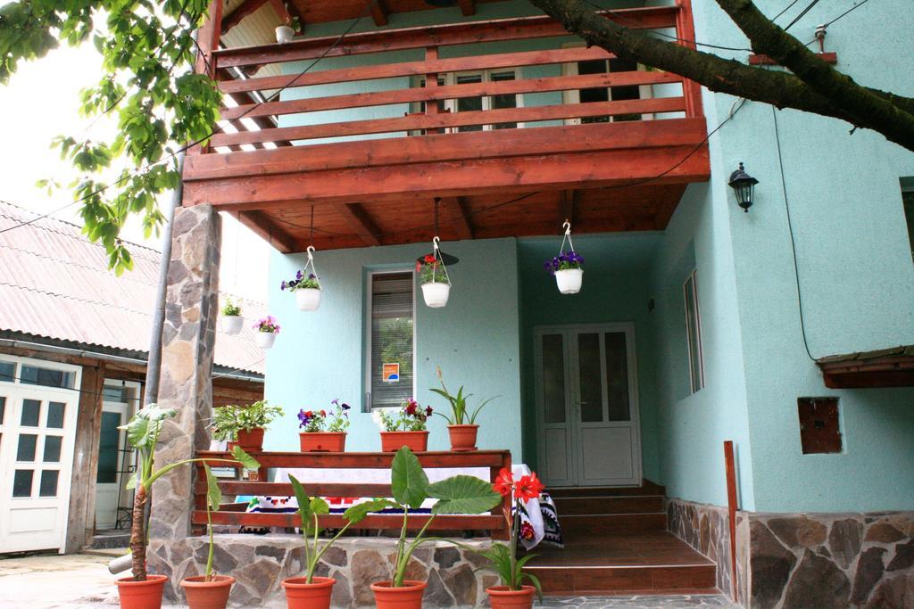 Busta House Bogdan Vodă Exterior foto